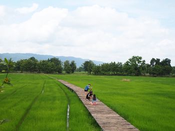 Scenic view of field against sky