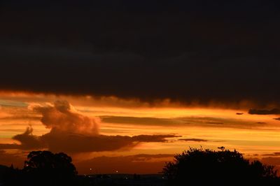 Silhouette trees against sky at sunset