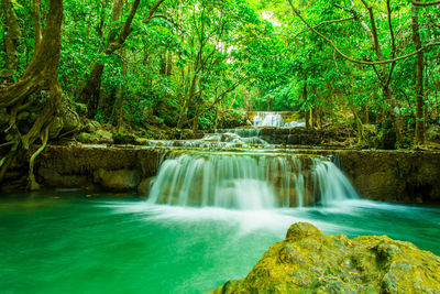 Scenic view of waterfall in forest