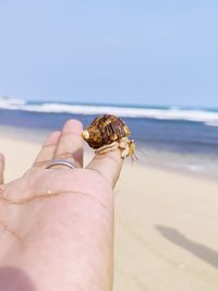 Close-up of human hand on beach