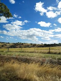 Scenic view of field against sky