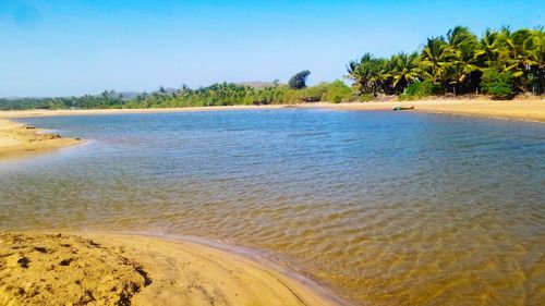 Scenic view of beach against clear sky