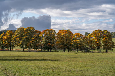 Trees on field against sky during autumn