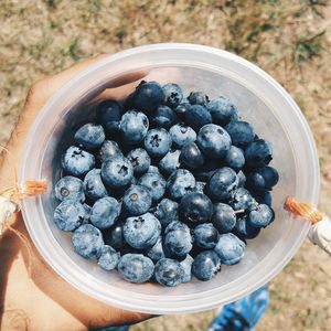 Low section of person holding blueberries in bowl