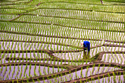 Man working on field