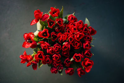 High angle view of red tulips on bucket against black background