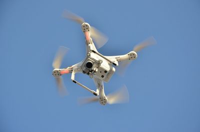 Low angle view of tree against blue sky