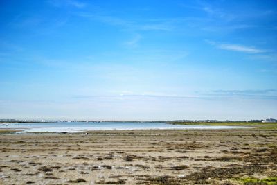 Scenic view of beach against blue sky