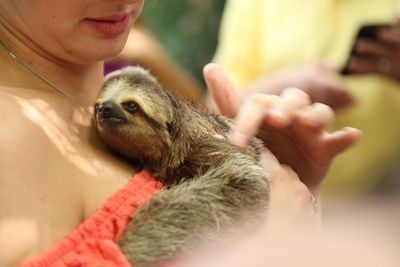 Close-up of baby holding hand