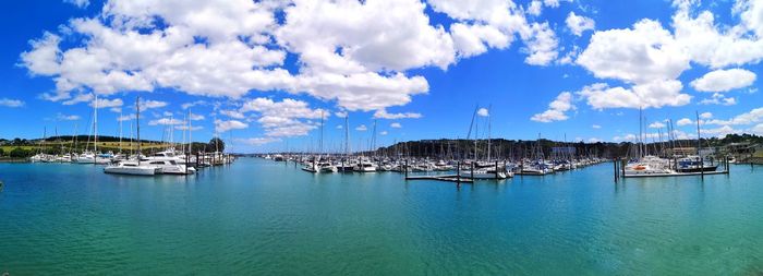 Sailboats moored in harbor