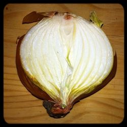 Close-up of food on wooden table