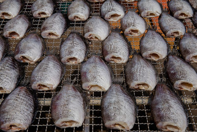 Full frame shot of fish for sale in market