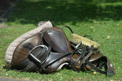 Close-up of abandoned shoe on field