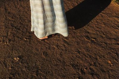 Low section of woman standing on mud