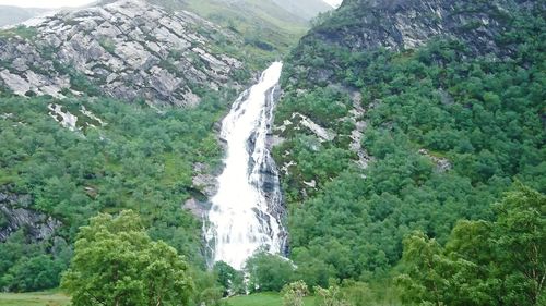 Scenic view of waterfall in forest