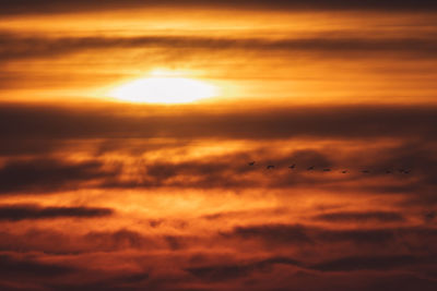 Low angle view of clouds in sky during sunset