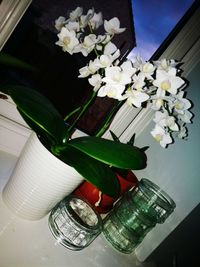 High angle view of white flower in vase on table