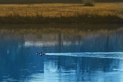 Man swimming in lake