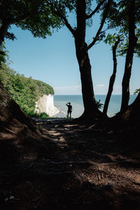 Rear view of man walking on beach