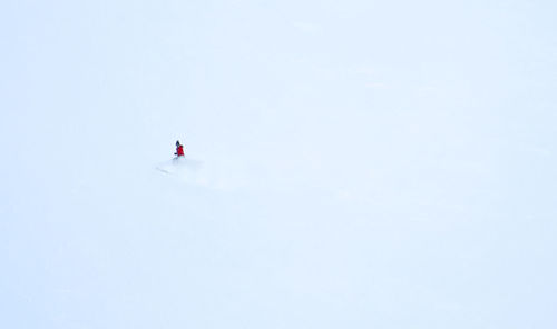 cold temperature