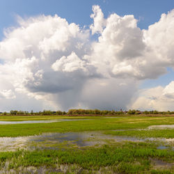 Scenic view of field against sky