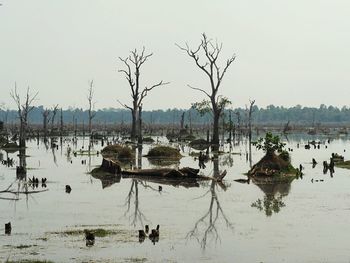 Panoramic view of lake against clear sky