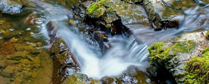 Close-up of waterfall in forest