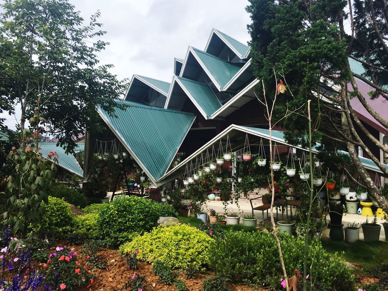 plant, tree, architecture, built structure, building exterior, building, nature, day, growth, no people, house, sky, outdoors, roof, green color, city, cloud - sky, modern, travel destinations, residential district