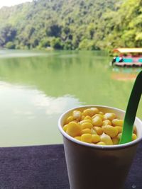 Close-up of fruits in bowl by lake