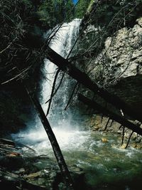 Scenic view of river in forest against sky