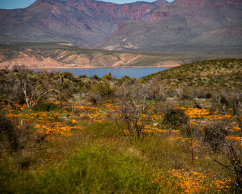 Scenic view of landscape and mountains against sky