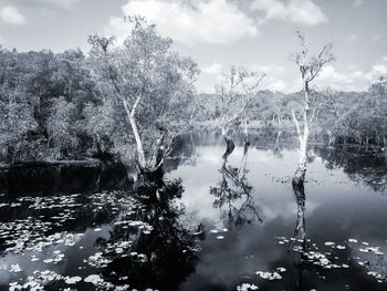 Reflection of trees in lake against sky