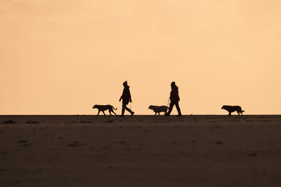 Silhouette people riding horse on desert against sky