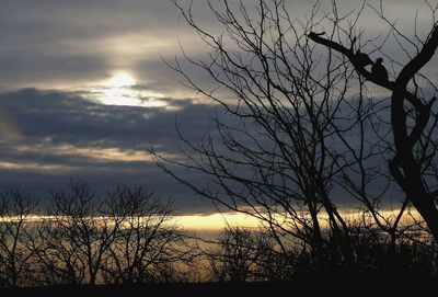 Low angle view of silhouette bare tree against dramatic sky