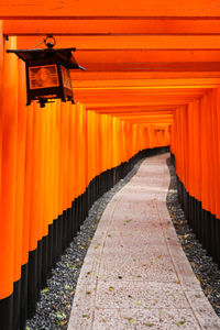 Footpath through torri gates towards japanese temple