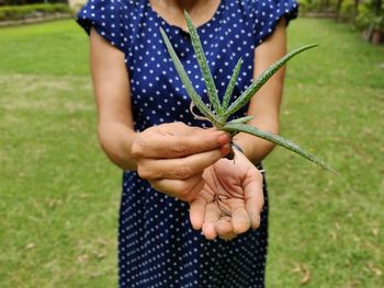Midsection of woman holding plant while standing on field
