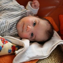 Portrait of cute baby boy lying on bed