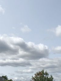 Low angle view of tree against sky