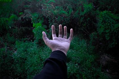 person