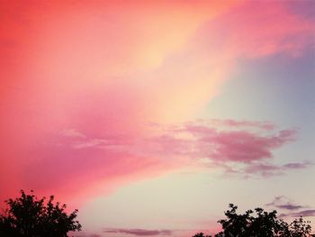 Low angle view of trees against sky at sunset