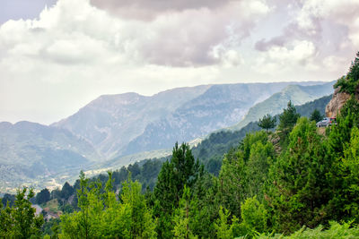 Scenic view of trees and mountains against sky