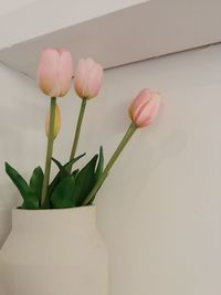 Close-up of pink tulip flowers against wall
