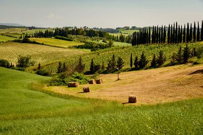 Hay bales on field against sky