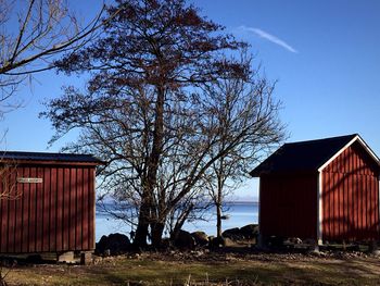 Houses and tree at sea shore against sky