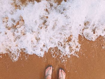 Low section of woman standing at beach