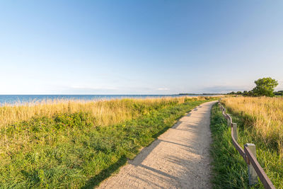 Footpath amidst field against clear sky