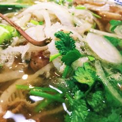 Close-up of food