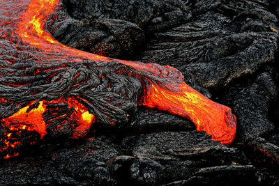 Close-up of bonfire