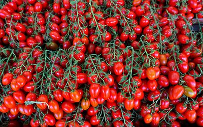 Full frame shot of tomatoes for sale