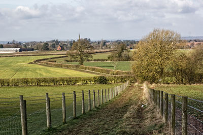 Scenic view of agricultural field against sky